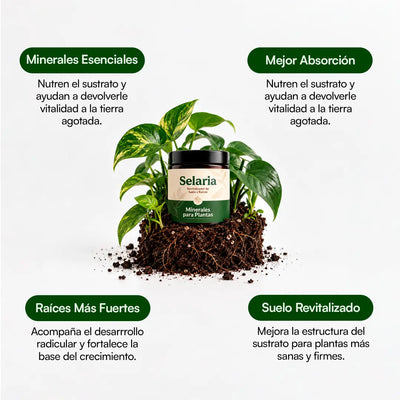 Minerales para Plantas - Selaria