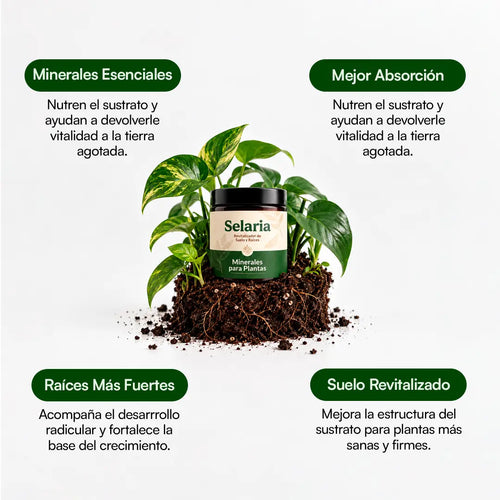 Minerales para Plantas - Selaria