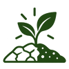 Más verde y brotes nuevos